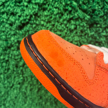 Nike SB Dunk Low Concepts Orange Lobster (Worn Once)