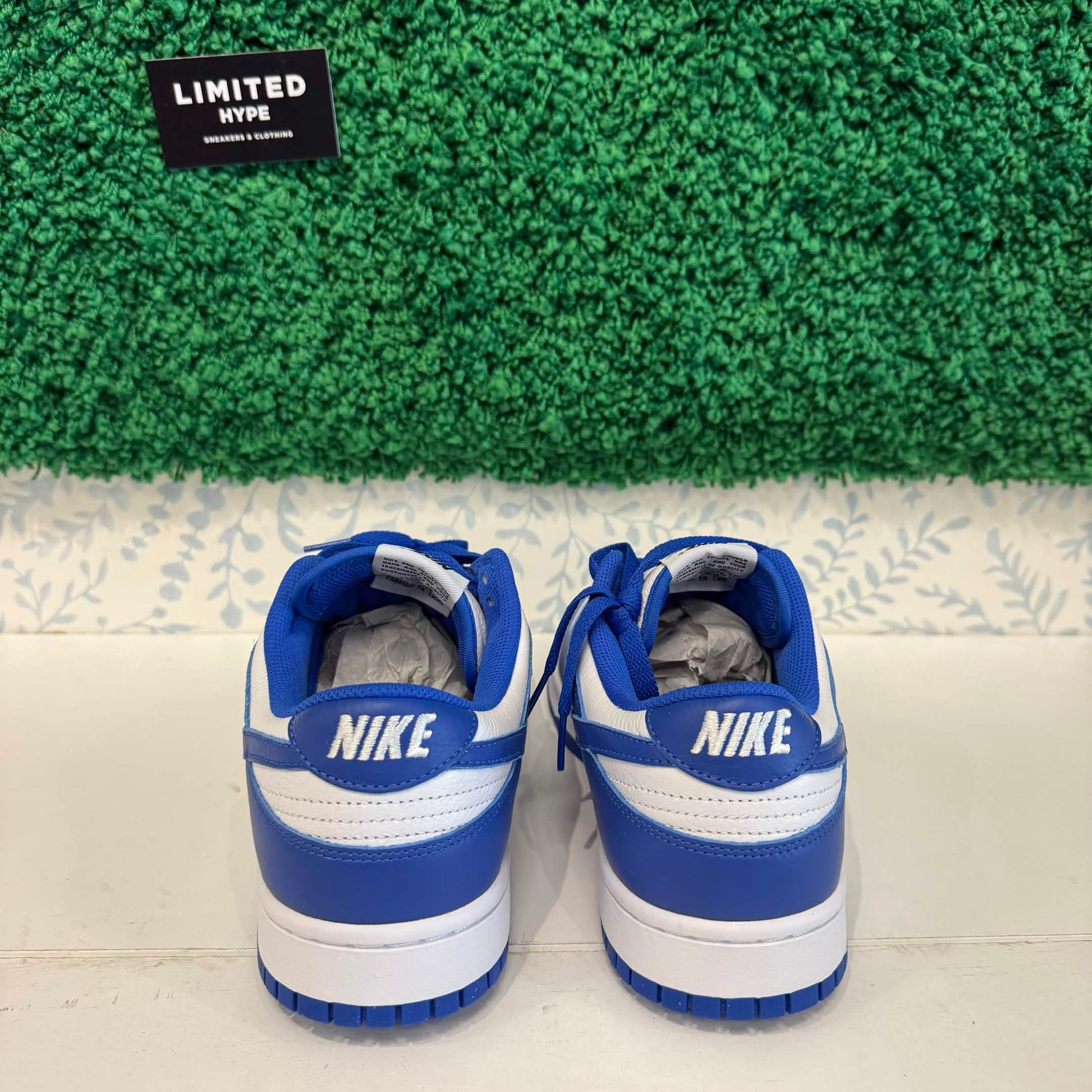 Nike Dunk Low Blue White (Custom)