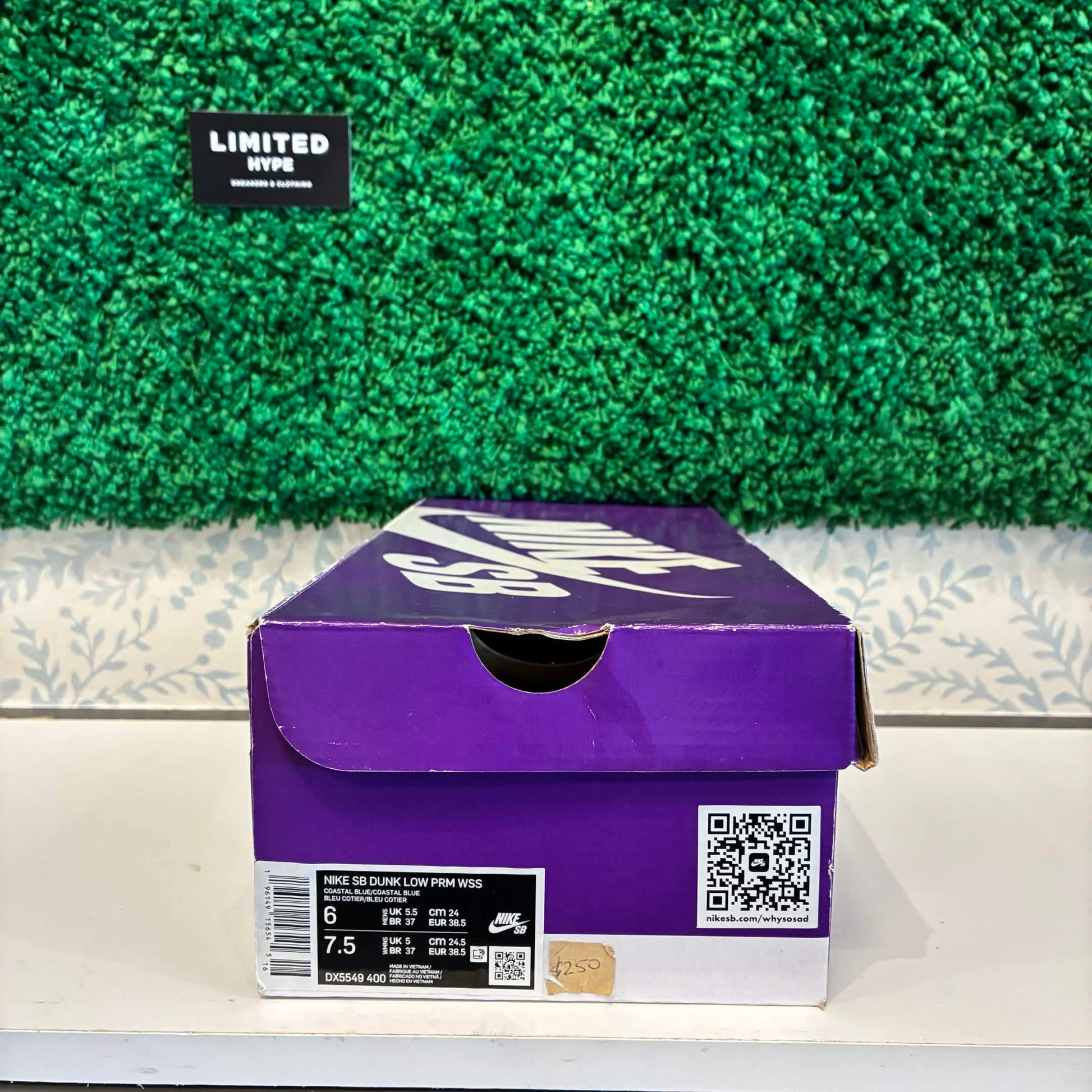 Nike SB Dunk Low Pro Why So Sad? (USED)